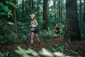 BIB: 
                            <button type="button" onclick="openModal(26066418)" class="btn btn-primary btn-sm float-right btn-popup" data-toggle="modal" data-target=".modal-high-quality">
                        <i class="fas fa-shopping-cart"></i> Add to Cart
                    </button>
                                            <button type="button" onclick="isThisMe(26066418, true)" class="btn btn-success btn-sm float-right btn-popup btn-isme hidden" data-toggle="tooltip" data-placement="bottom" title="นี่คือรูปของคุณใช่ไหม คลิกที่นี่เพื่อเอาเข้าอัลบั้ม">
                        <i class="fas fa-plus"></i> Add to album
                    </button>
                    <button type="button" onclick="isThisMe(26066418, false)" class="btn btn-warning btn-sm float-right btn-popup btn-isnotme hidden">
                        <i class="fas fa-ban"></i> Remove from album
                    </button>